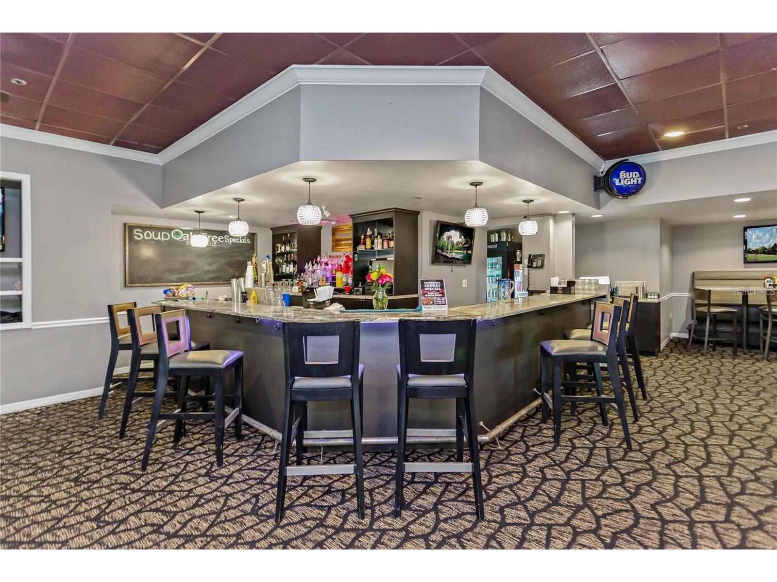 1186 Dartford Drive Tarpon Springs FL 34688 W7884879 image56