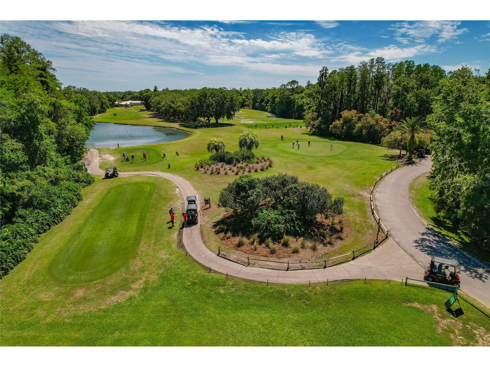 1186 Dartford Drive Tarpon Springs FL 34688 W7884879 image58