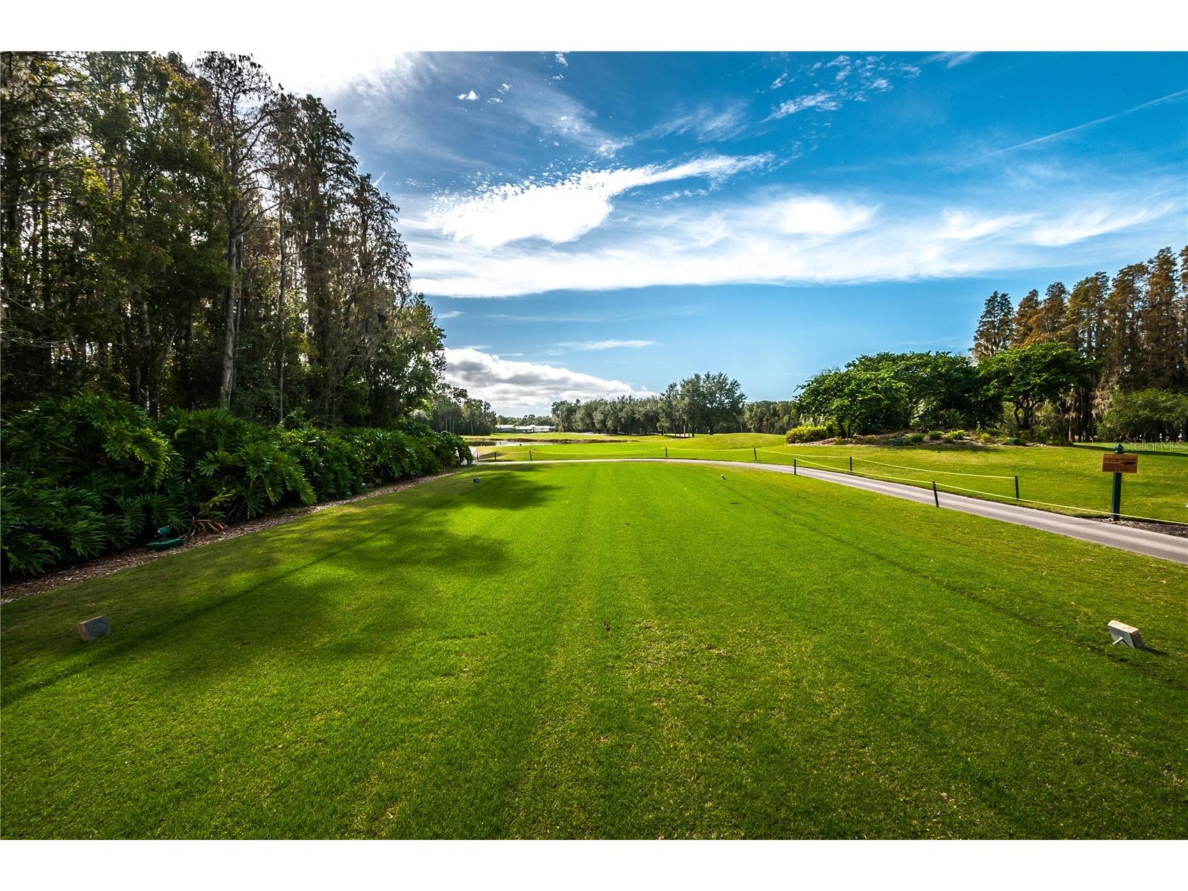 1186 Dartford Drive Tarpon Springs FL 34688 W7884879 image60
