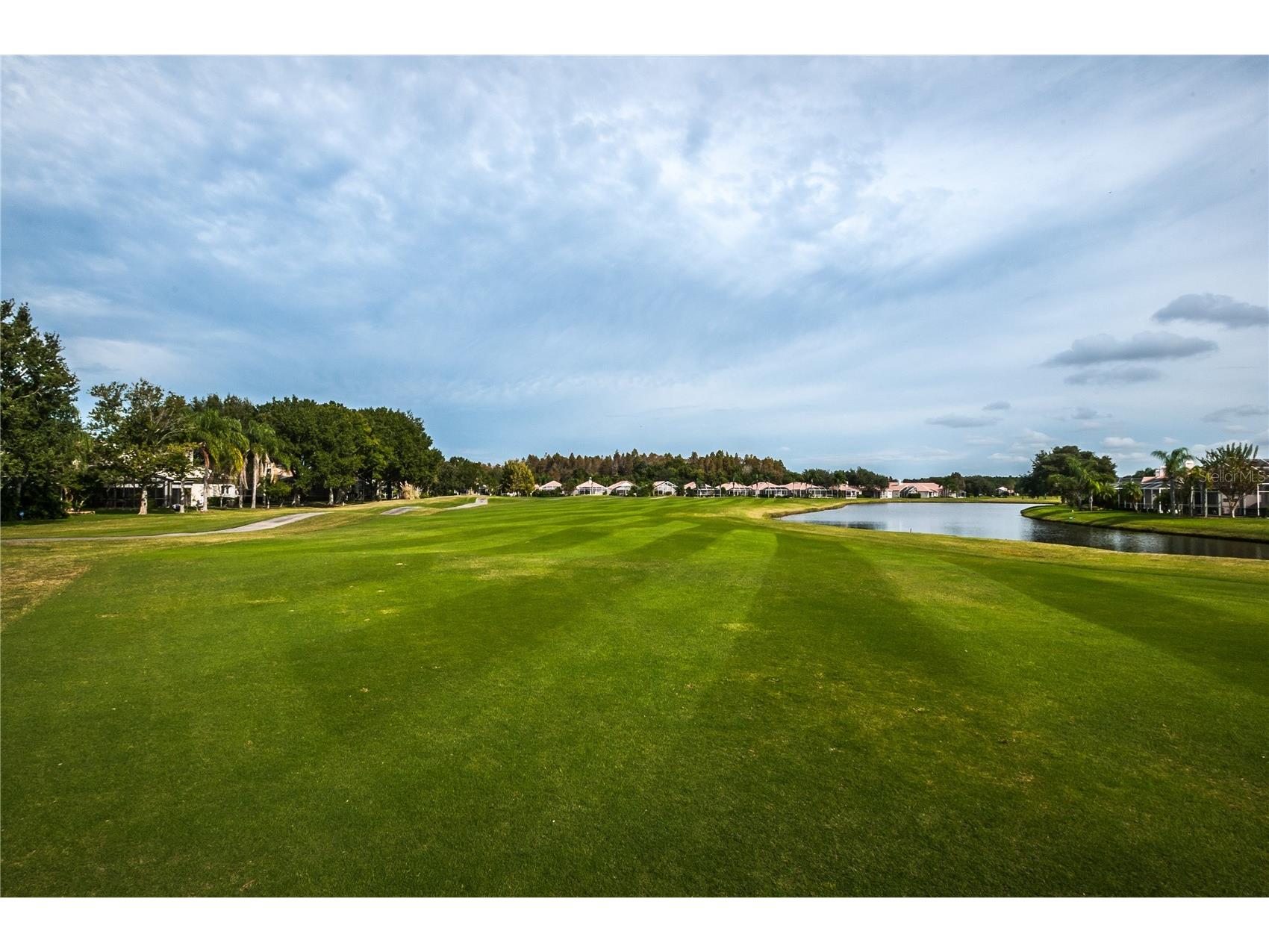 1186 Dartford Drive Tarpon Springs FL 34688 W7884879 image61