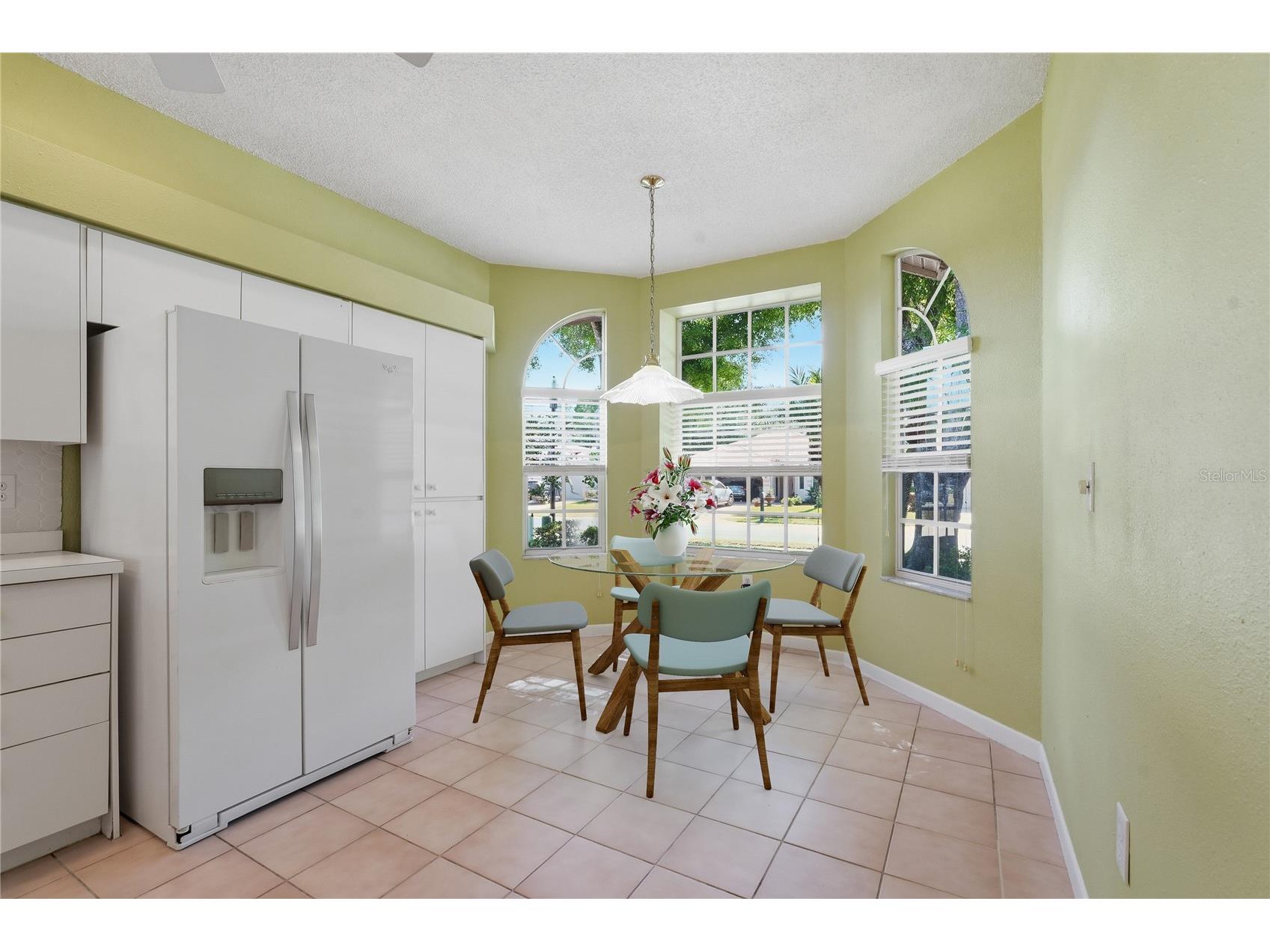 1186 Dartford Drive Tarpon Springs FL 34688 W7884879 image7