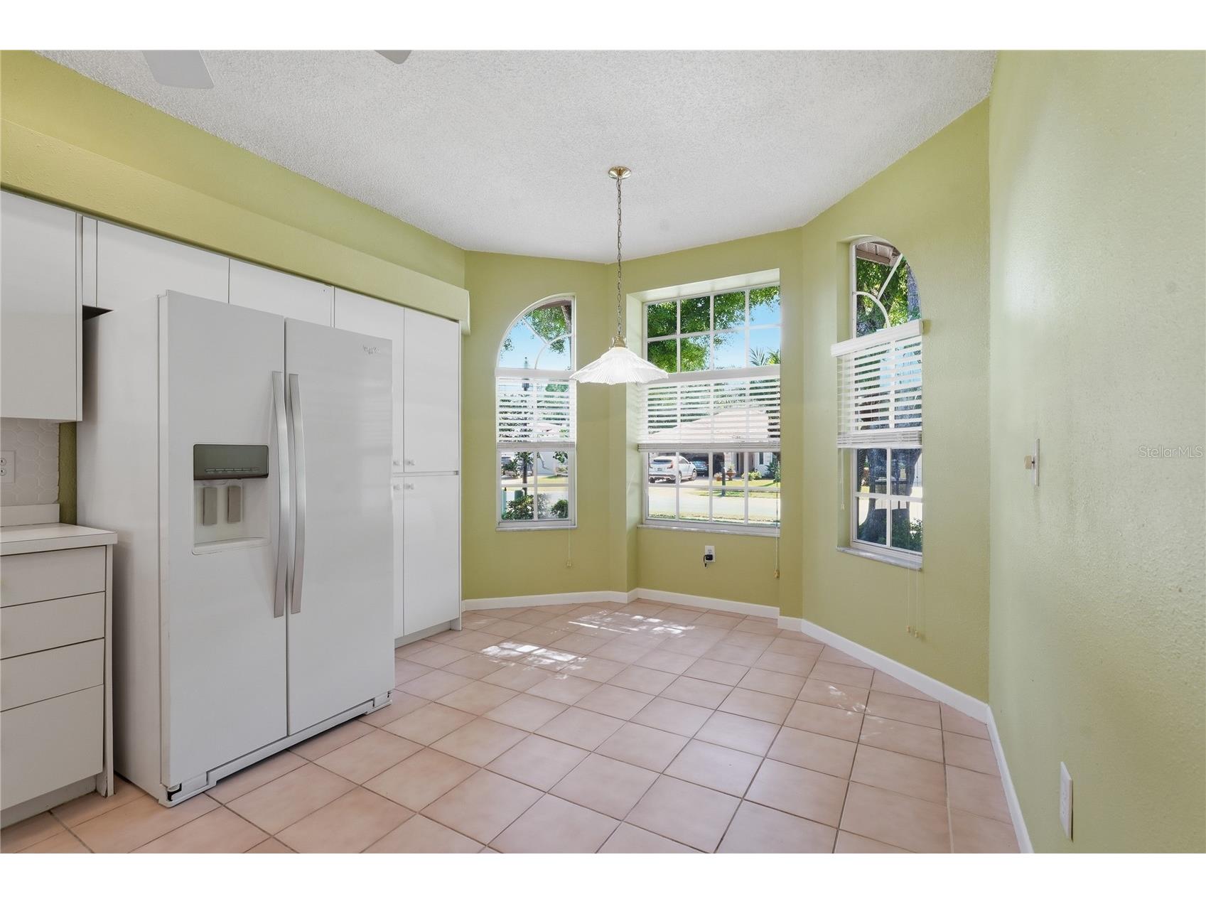 1186 Dartford Drive Tarpon Springs FL 34688 W7884879 image8