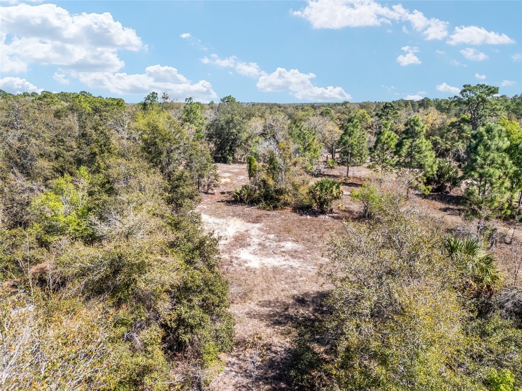 11861 N Pan An Terrace Dunnellon FL 34433 OM697308 image1