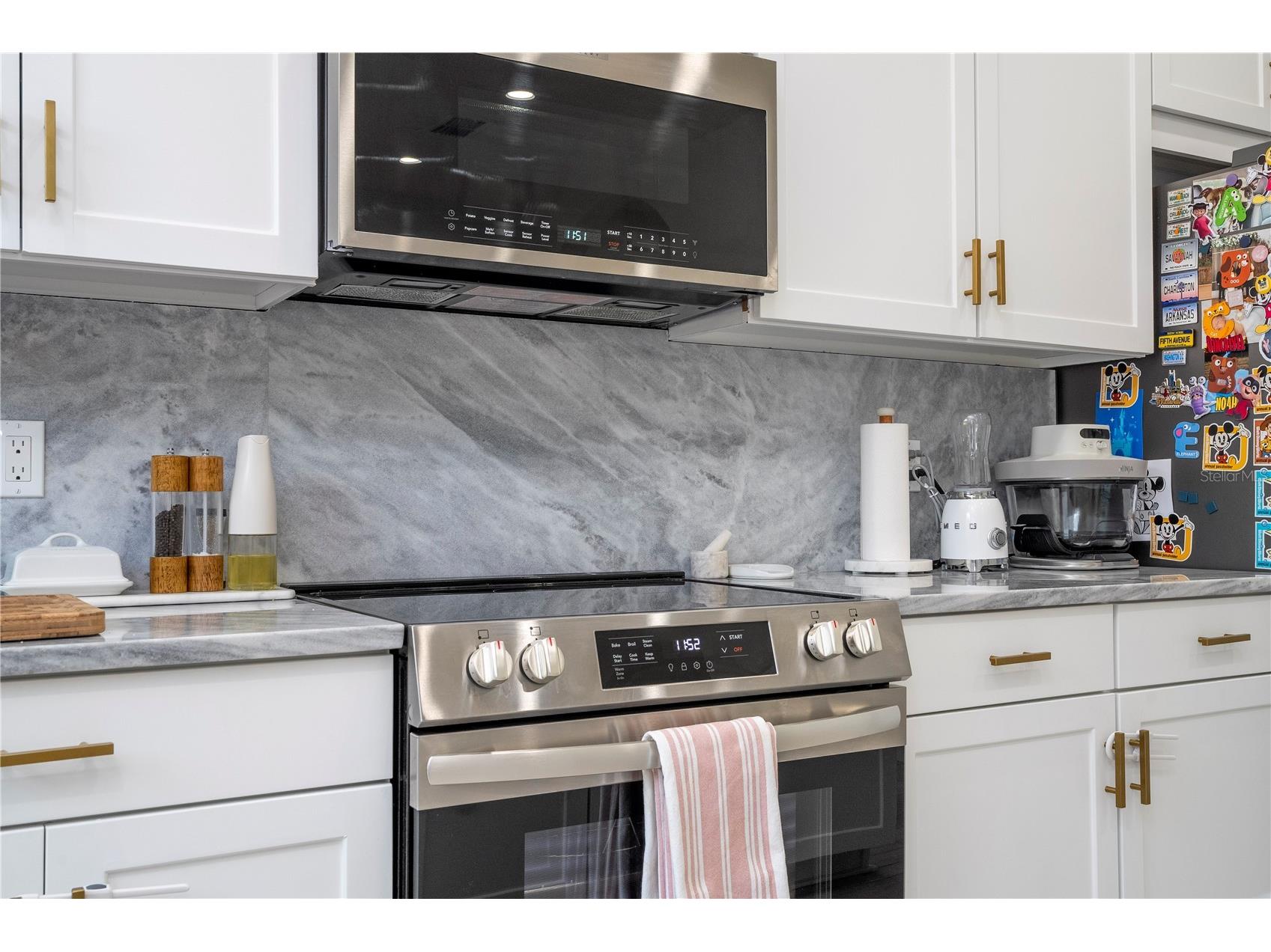 11861 Vermillion Avenue Windermere FL 34786 O6410430 image22