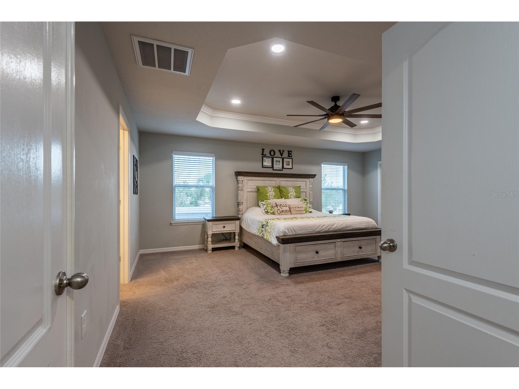 11862 Lake Lucaya Drive Riverview FL 33579 TB8513621 image27