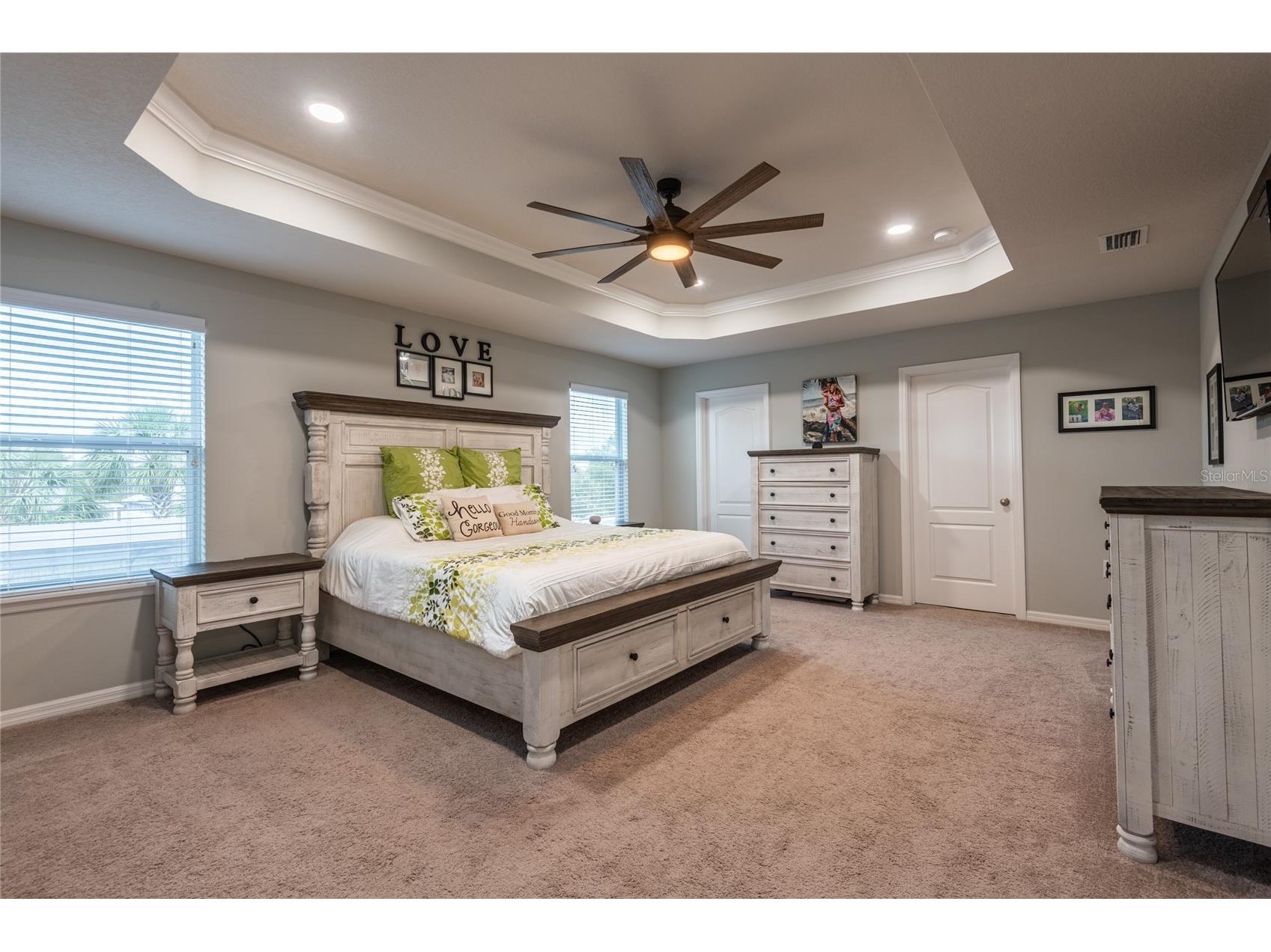 11862 Lake Lucaya Drive Riverview FL 33579 TB8513621 image29