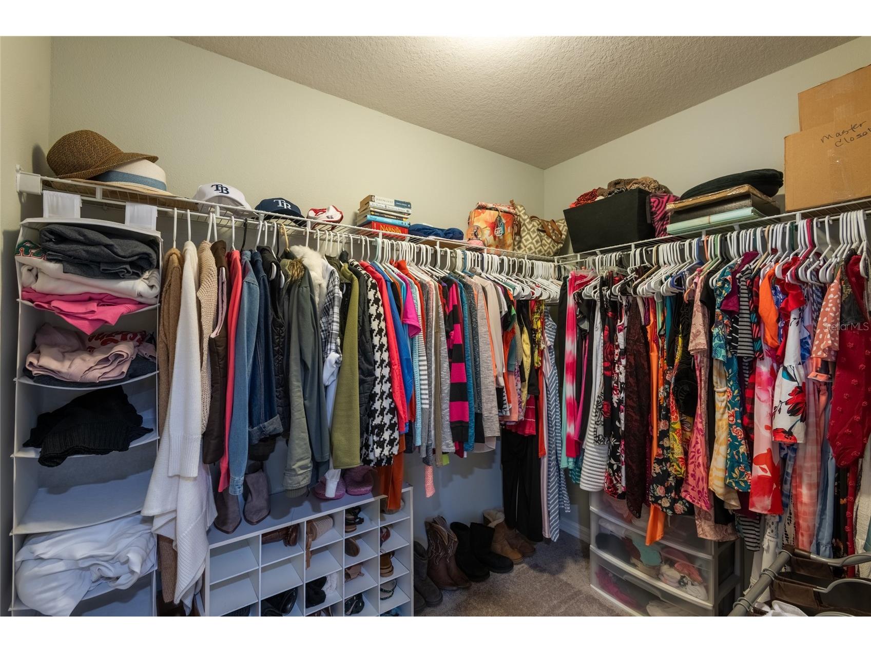 11862 Lake Lucaya Drive Riverview FL 33579 TB8513621 image33