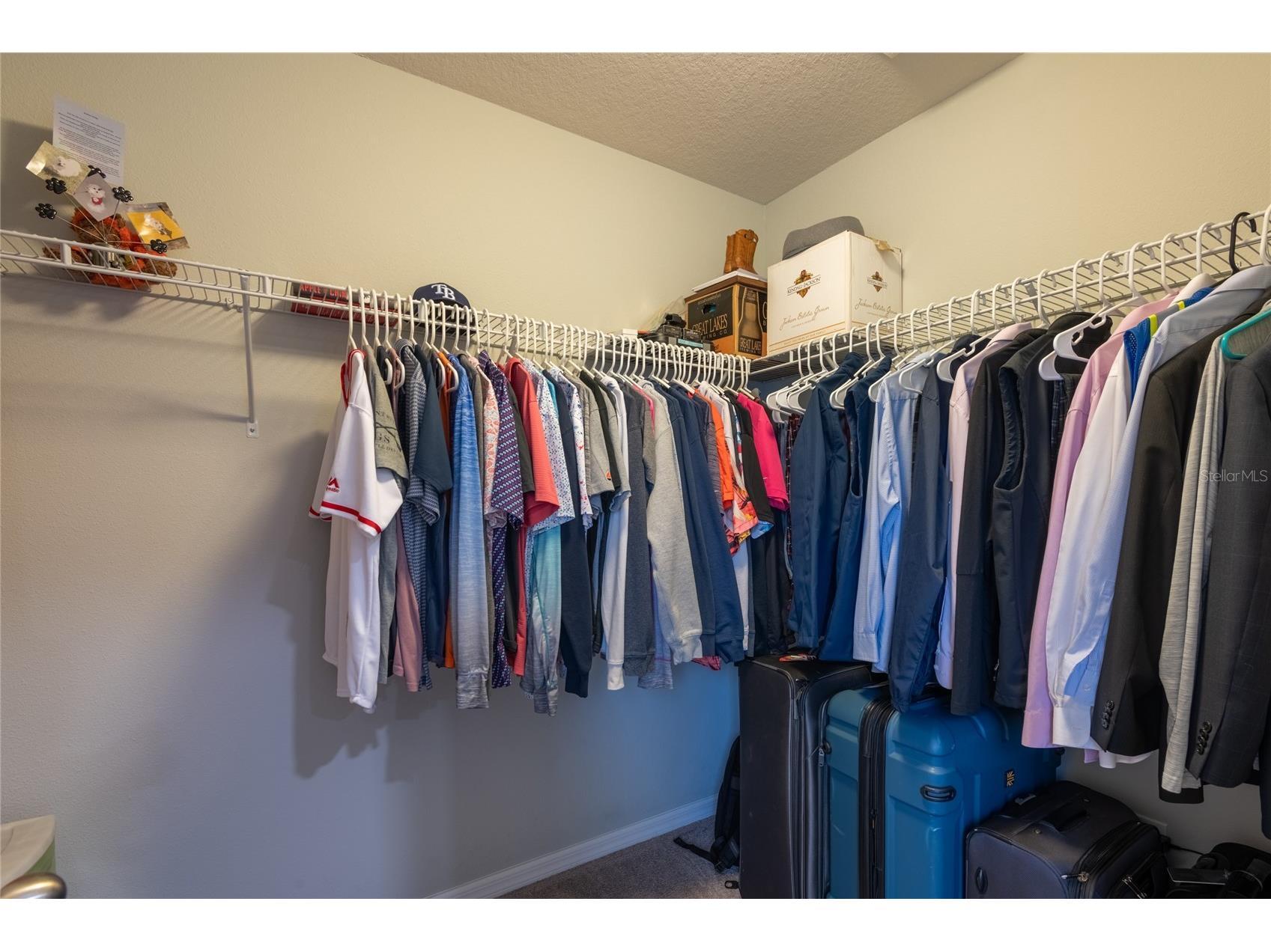 11862 Lake Lucaya Drive Riverview FL 33579 TB8513621 image34