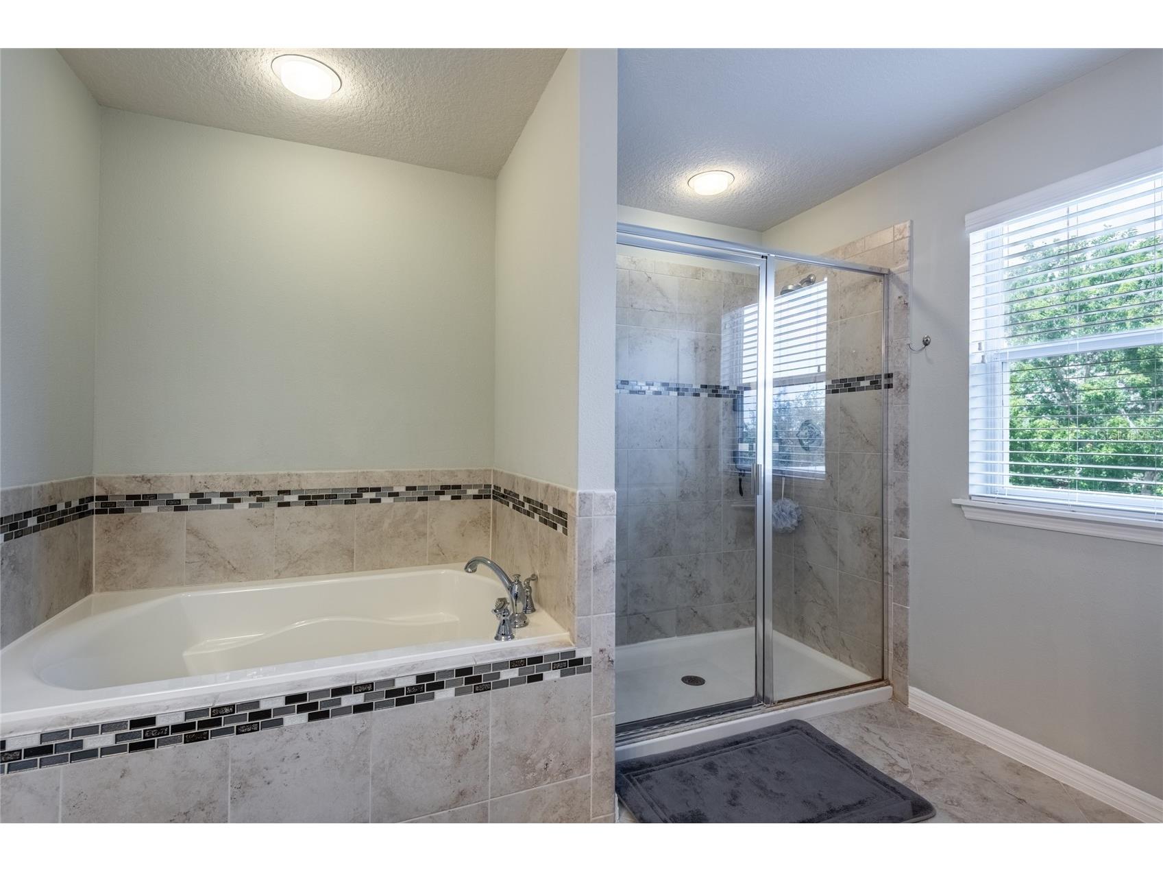11862 Lake Lucaya Drive Riverview FL 33579 TB8513621 image36