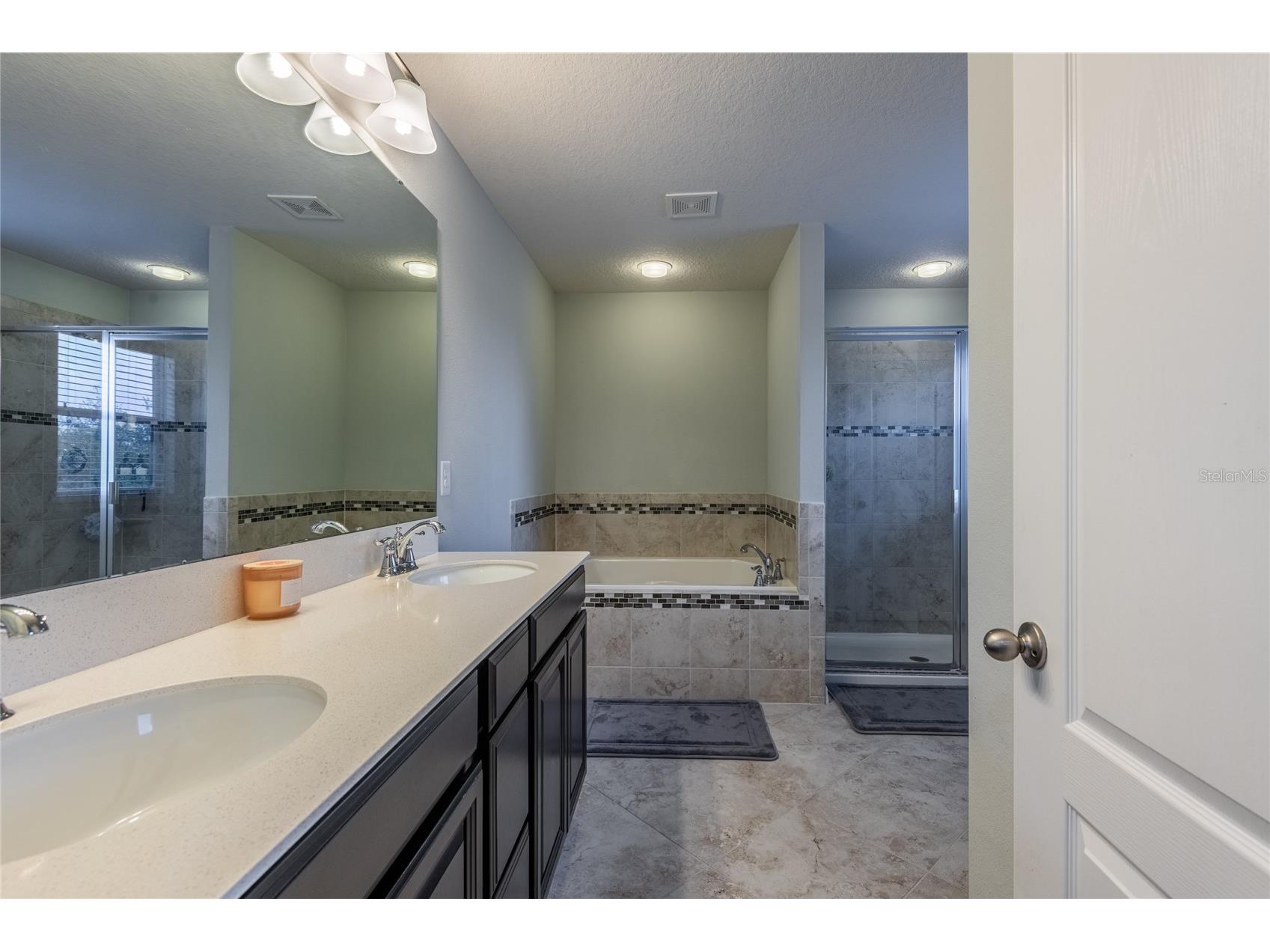 11862 Lake Lucaya Drive Riverview FL 33579 TB8513621 image37