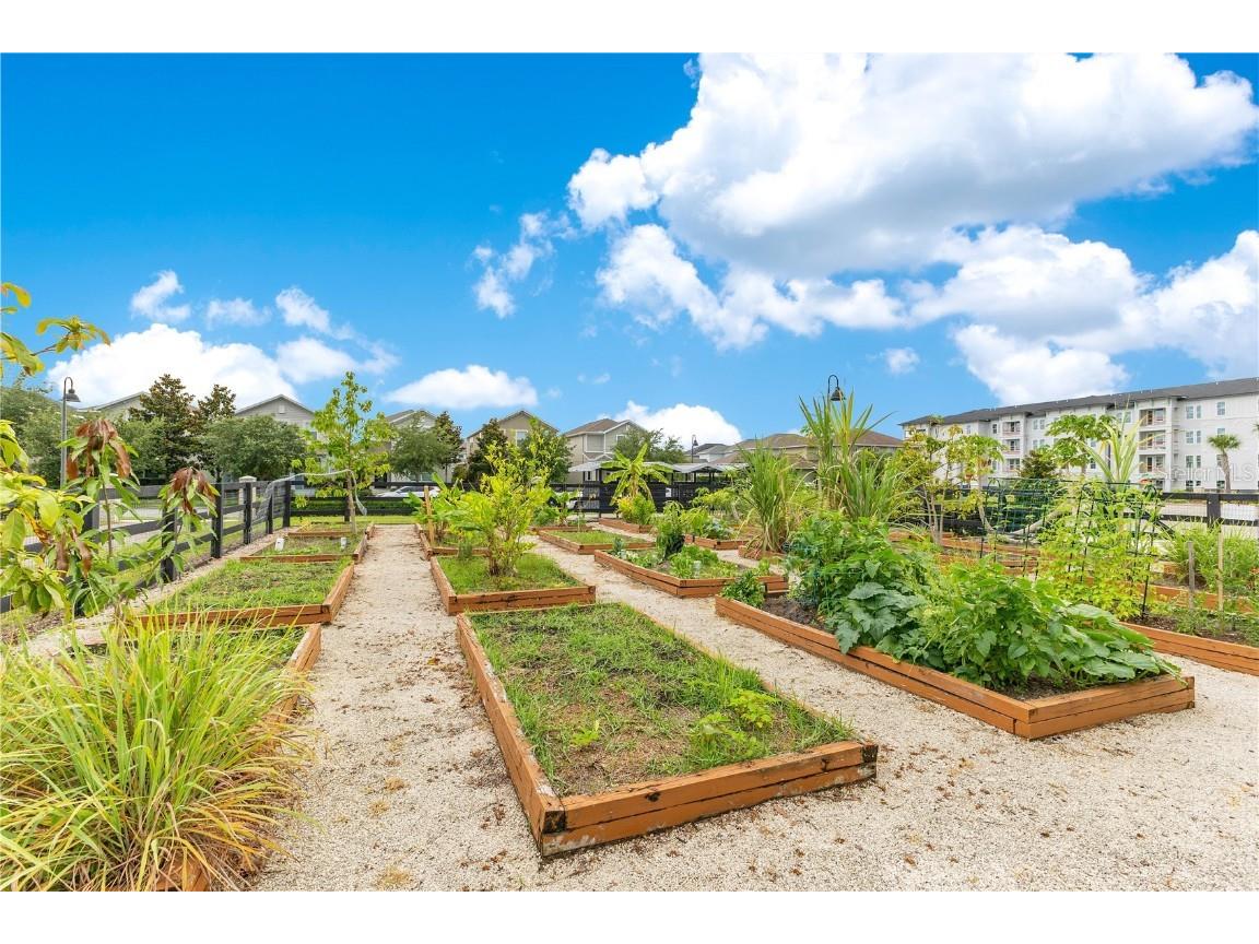 11865 Ginsberg Place Orlando FL 32832 - STOREY PARK COMMUNITY WATER O6349154 image43