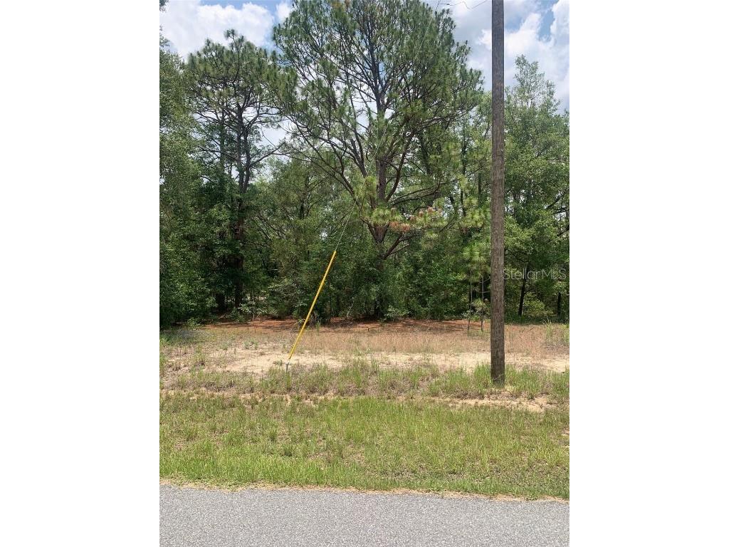 11865 N Shenandoah Way Citrus Springs FL 34433 OM659439 image1