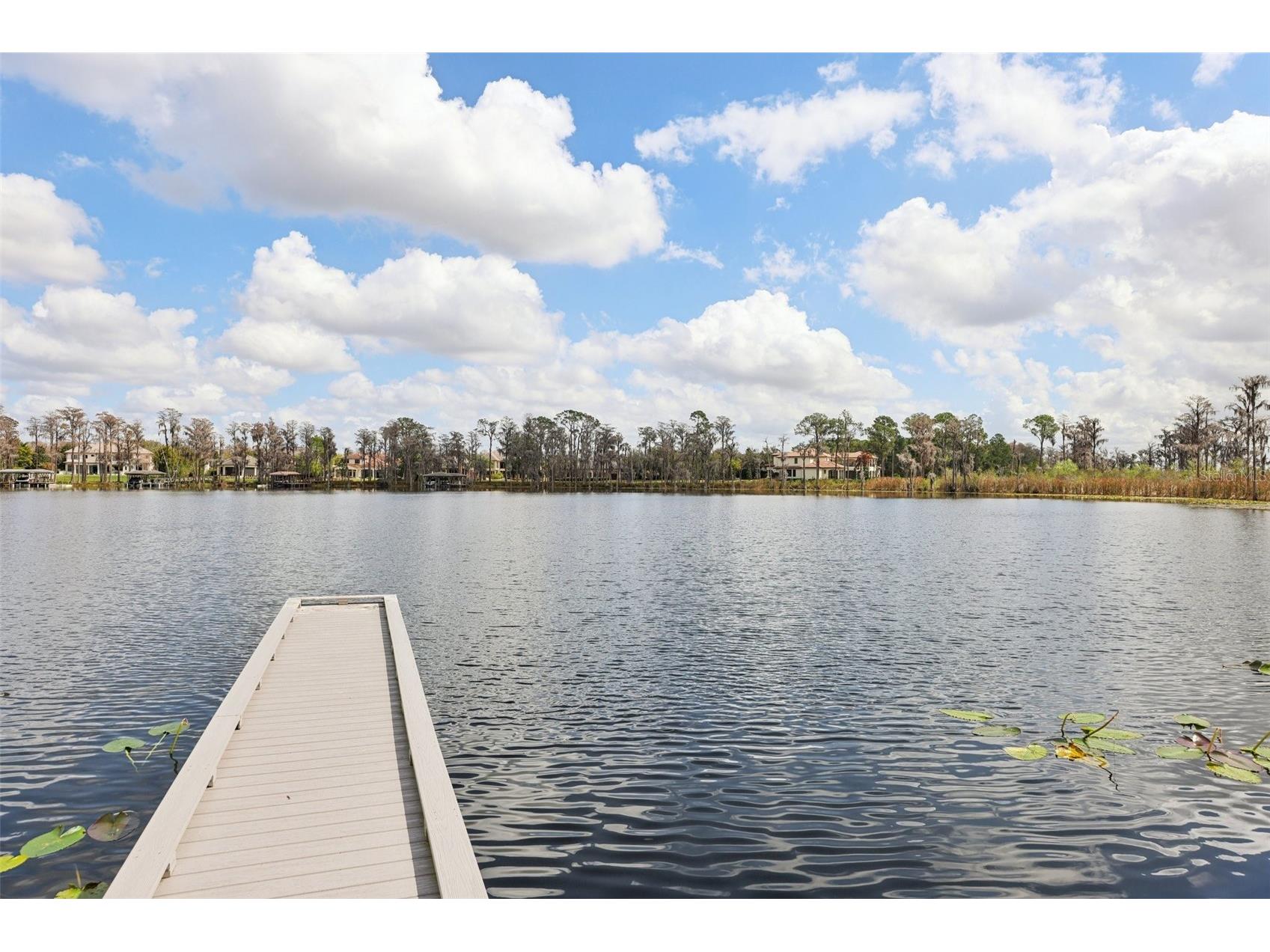 11866 Camden Park Drive Windermere FL 34786 O6381558 image50