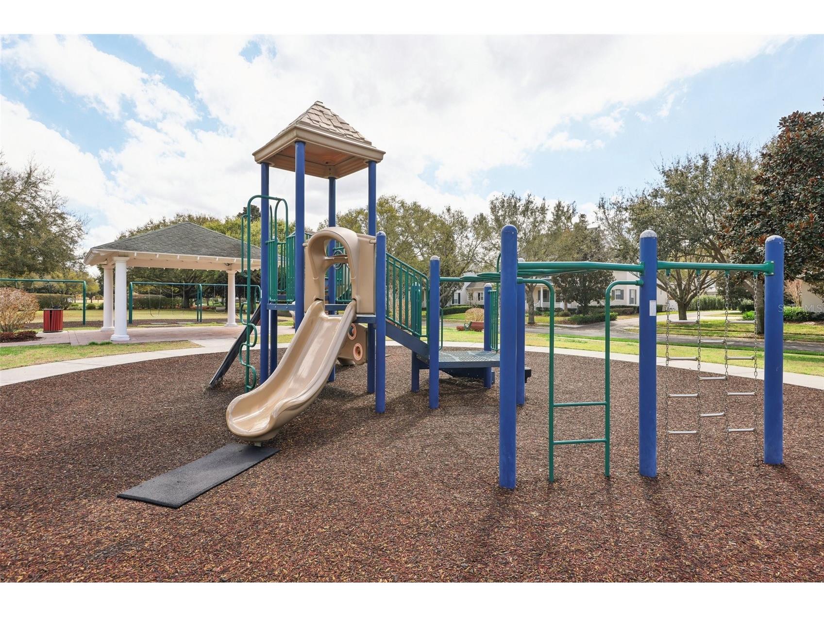 11866 Camden Park Drive Windermere FL 34786 O6381558 image54