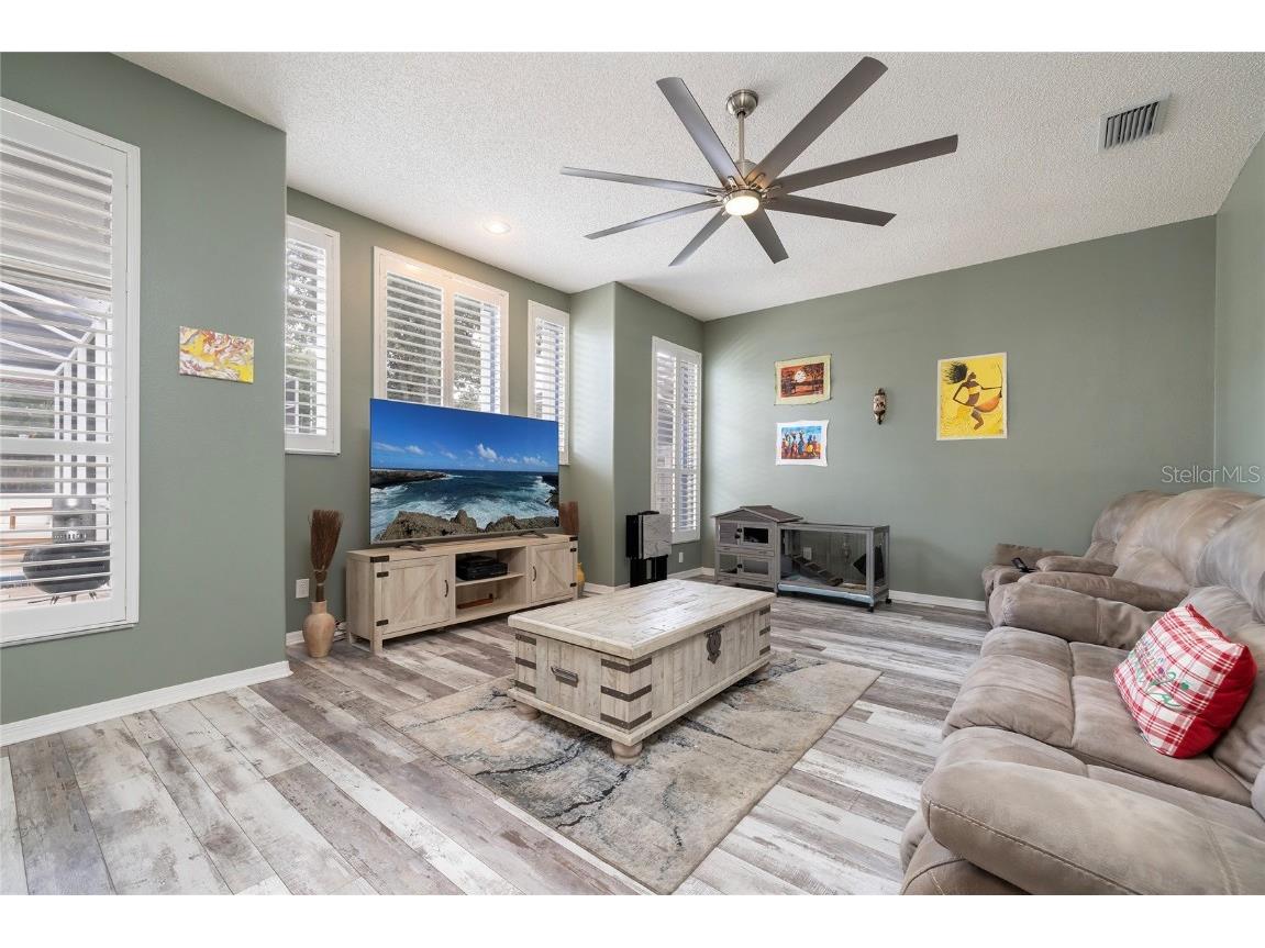 1187 Blackrush Drive Tarpon Springs FL 34689 TB8436618 image10