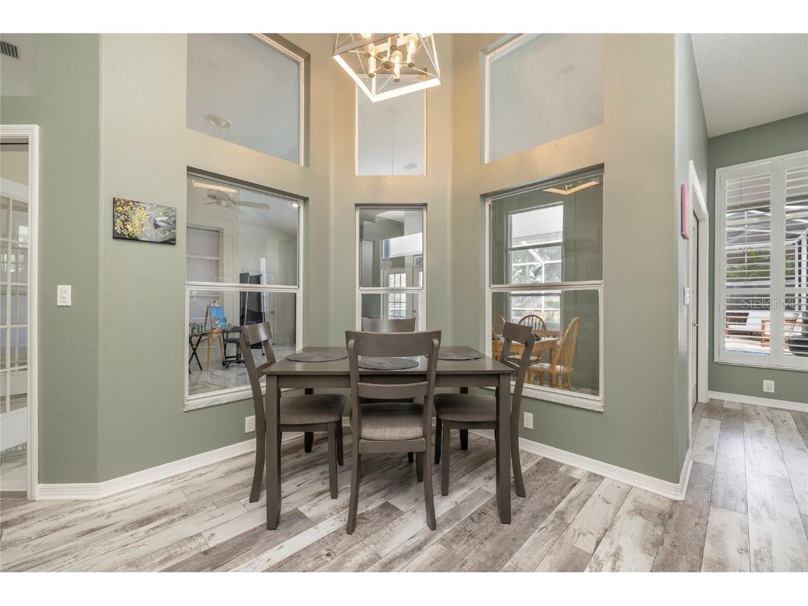 1187 Blackrush Drive Tarpon Springs FL 34689 TB8436618 image12