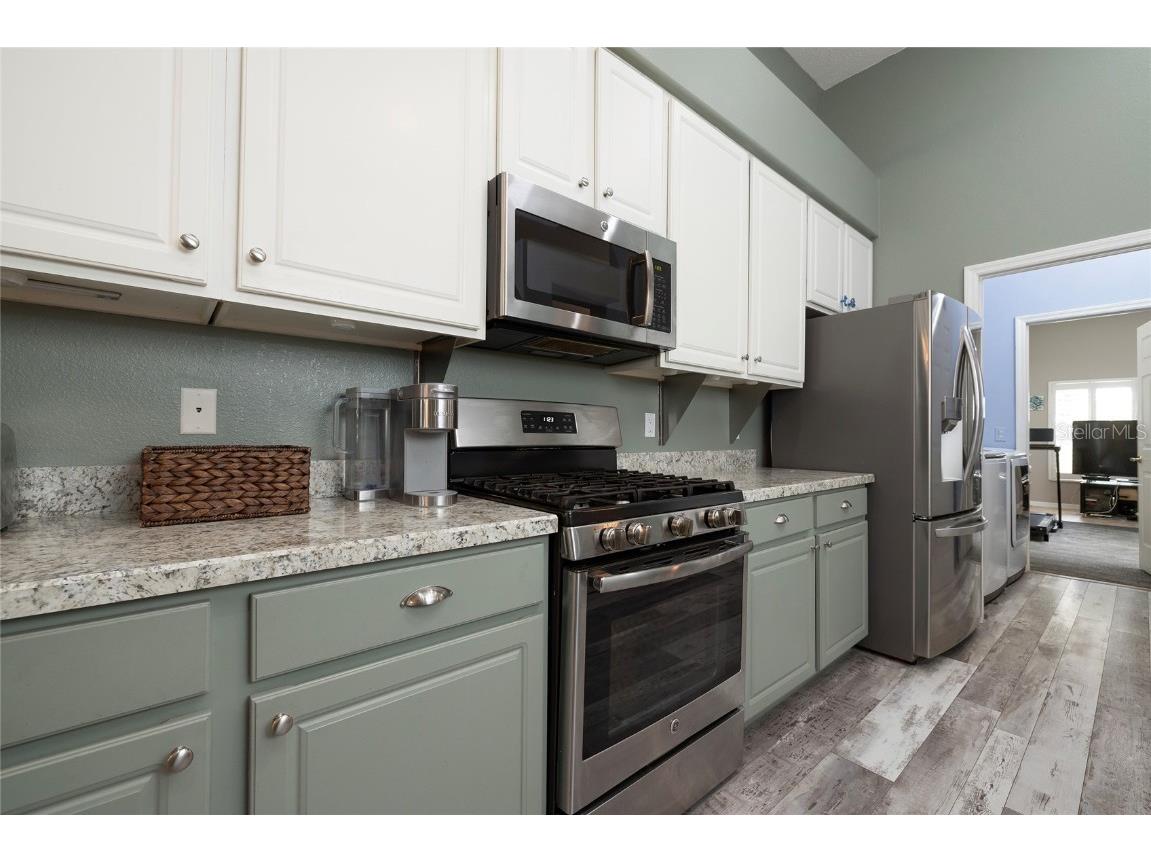 1187 Blackrush Drive Tarpon Springs FL 34689 TB8436618 image13