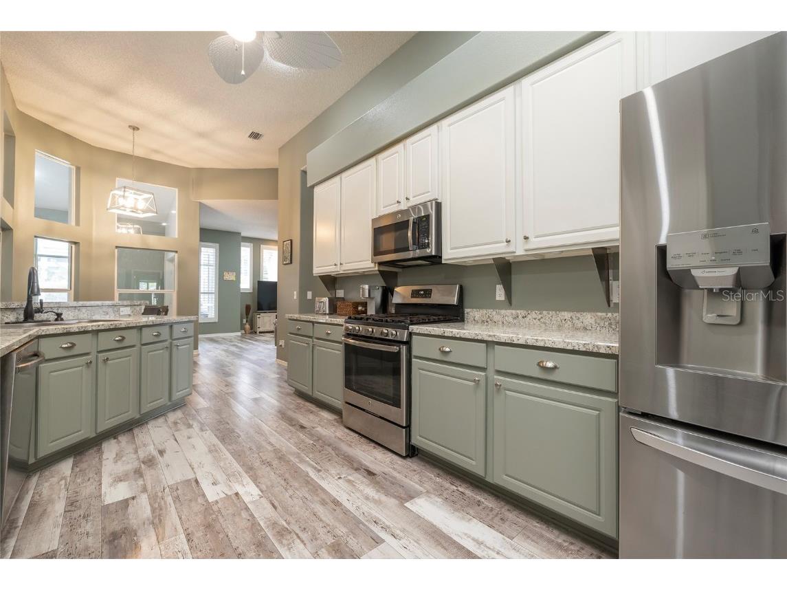 1187 Blackrush Drive Tarpon Springs FL 34689 TB8436618 image14