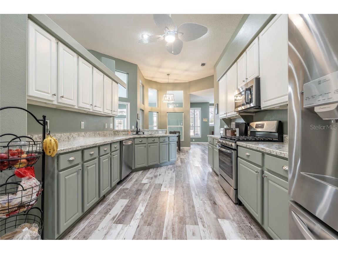 1187 Blackrush Drive Tarpon Springs FL 34689 TB8436618 image16