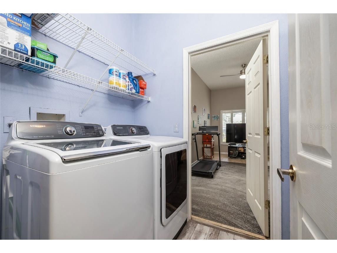 1187 Blackrush Drive Tarpon Springs FL 34689 TB8436618 image26