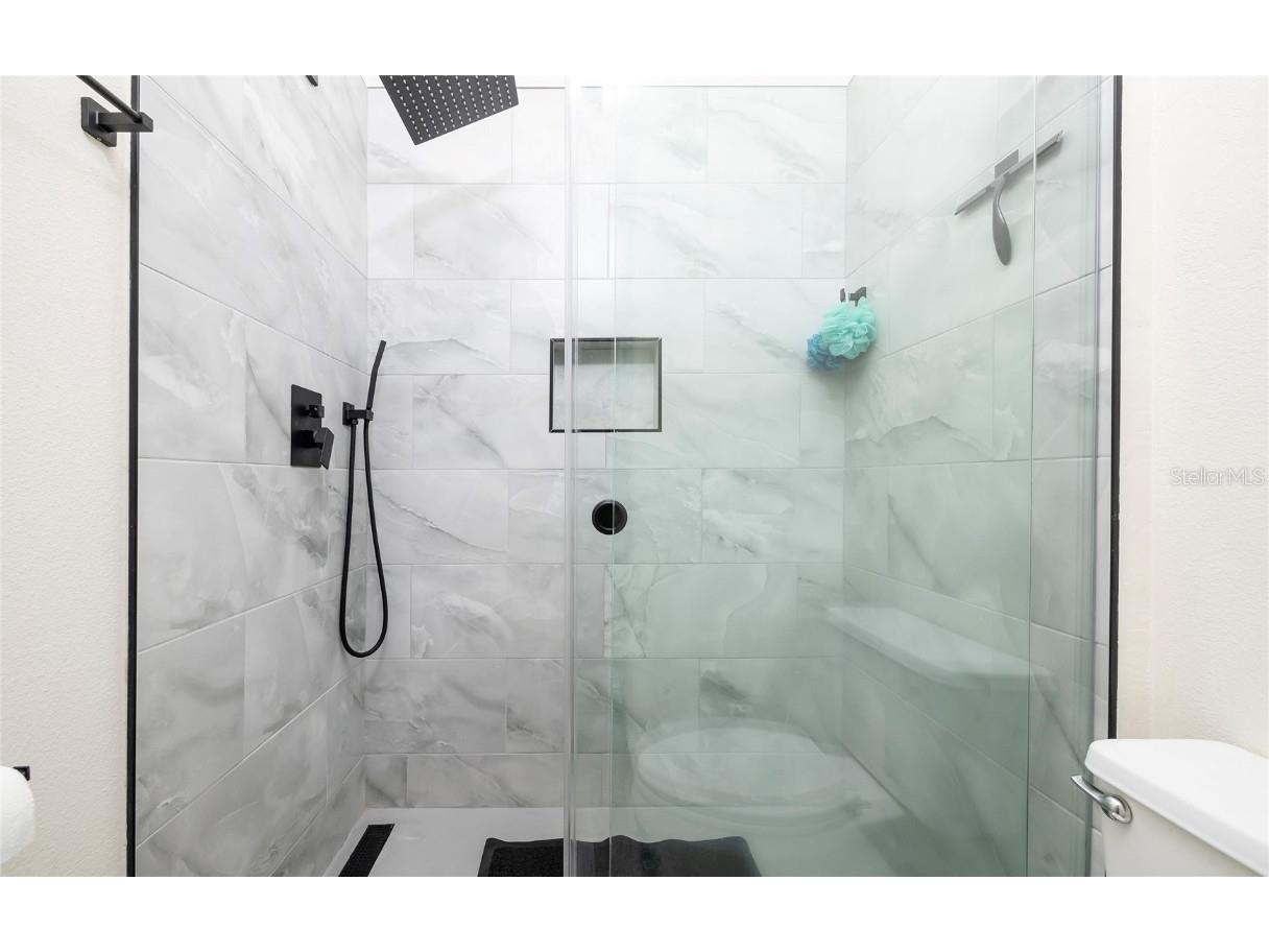 1187 Blackrush Drive Tarpon Springs FL 34689 TB8436618 image27