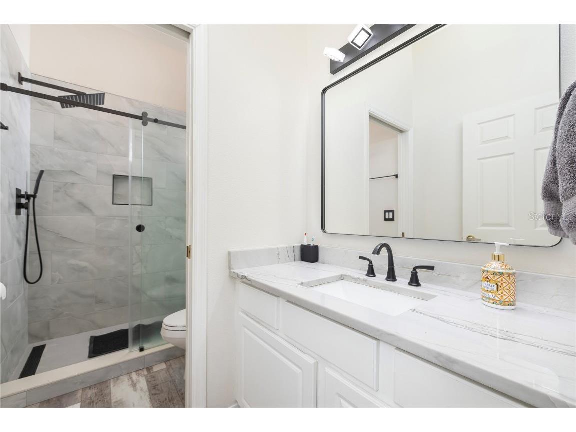 1187 Blackrush Drive Tarpon Springs FL 34689 TB8436618 image28