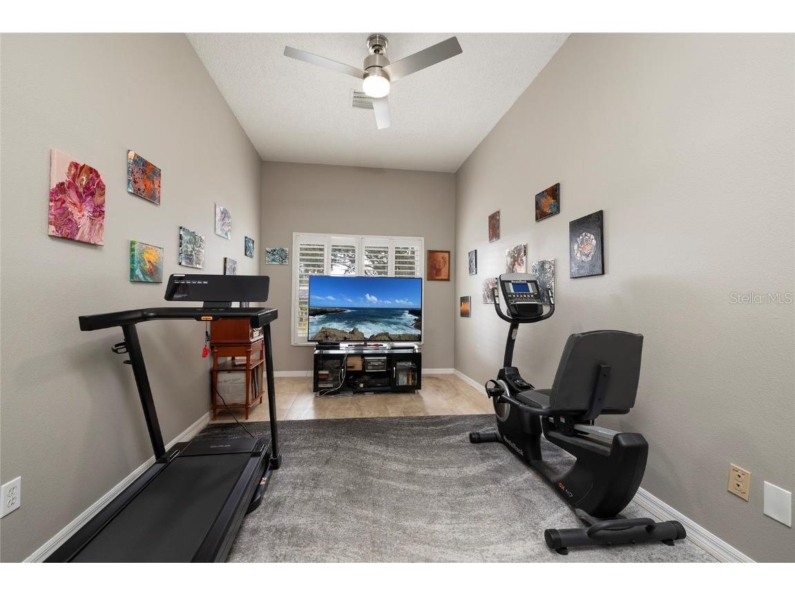 1187 Blackrush Drive Tarpon Springs FL 34689 TB8436618 image30