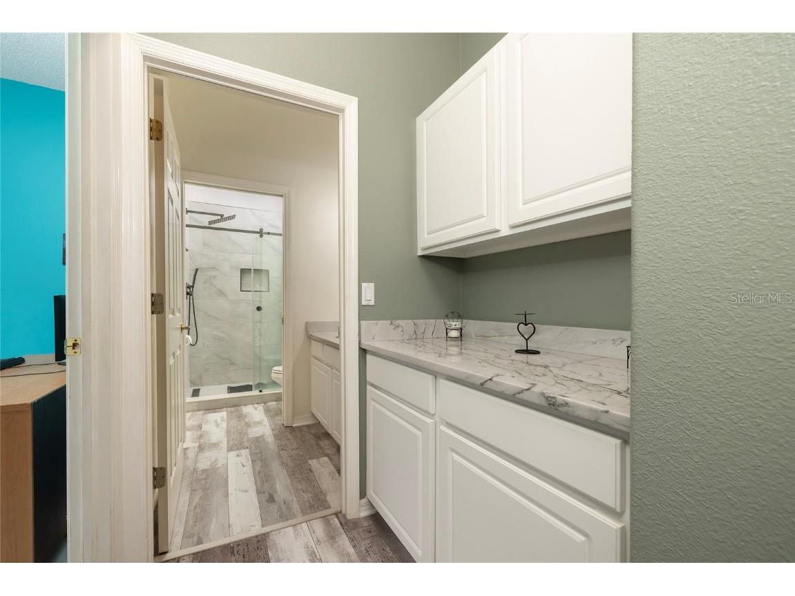 1187 Blackrush Drive Tarpon Springs FL 34689 TB8436618 image31