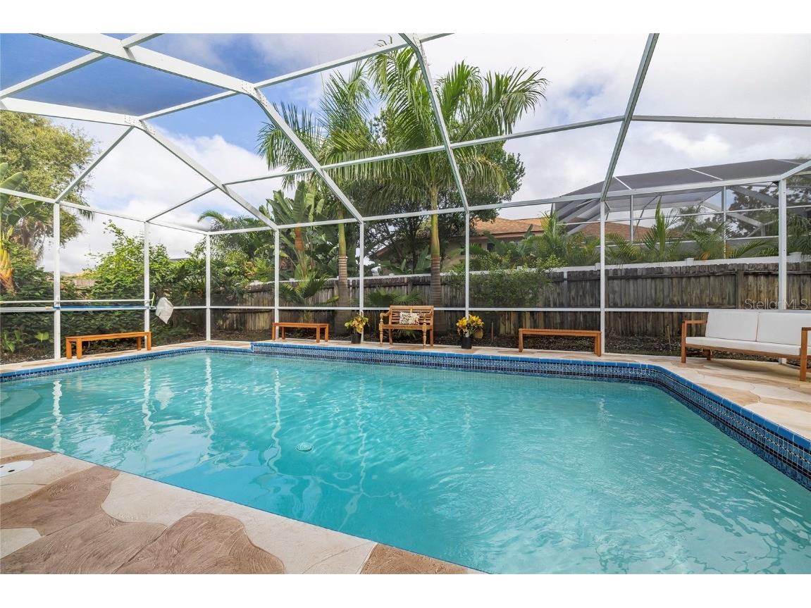 1187 Blackrush Drive Tarpon Springs FL 34689 TB8436618 image33