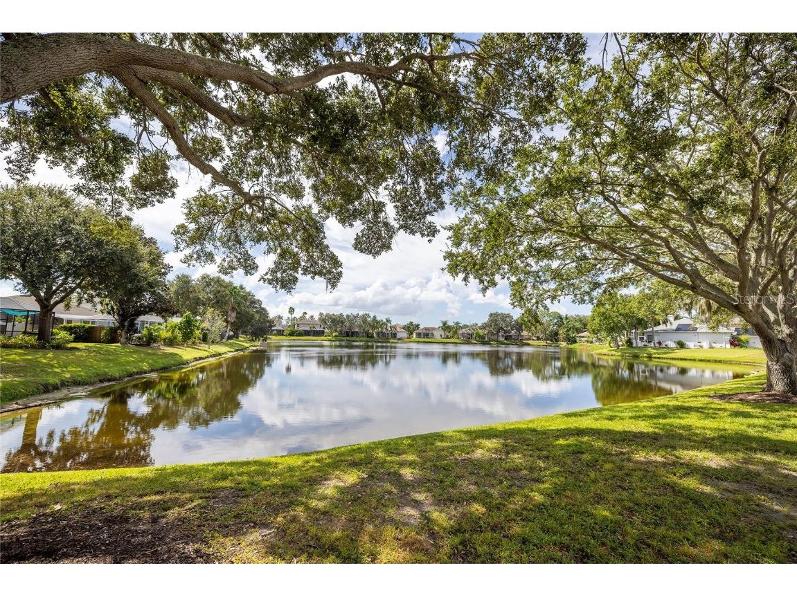 1187 Blackrush Drive Tarpon Springs FL 34689 TB8436618 image41