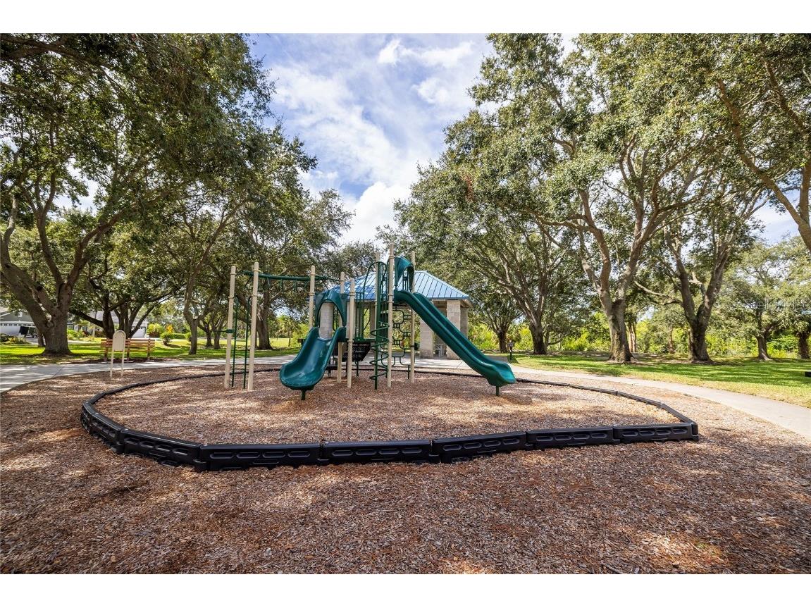 1187 Blackrush Drive Tarpon Springs FL 34689 TB8436618 image44