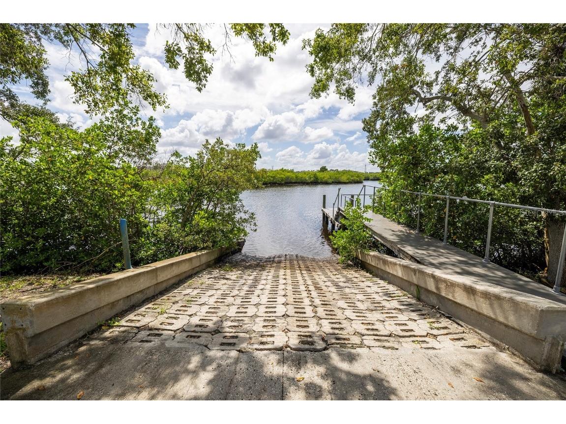 1187 Blackrush Drive Tarpon Springs FL 34689 TB8436618 image47