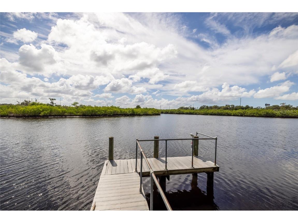 1187 Blackrush Drive Tarpon Springs FL 34689 TB8436618 image48