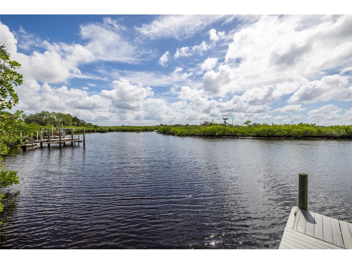 1187 Blackrush Drive Tarpon Springs FL 34689 TB8436618 image50