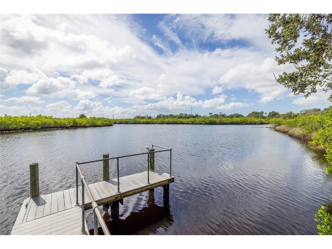 1187 Blackrush Drive Tarpon Springs FL 34689 TB8436618 image51