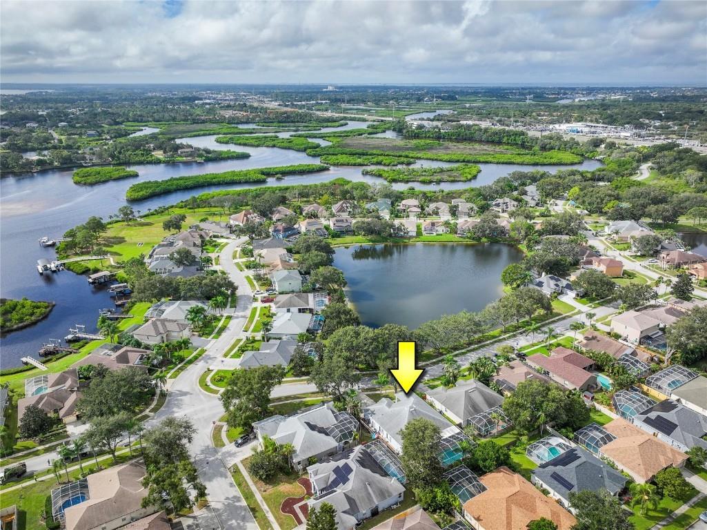 1187 Blackrush Drive Tarpon Springs FL 34689 TB8436618 image52