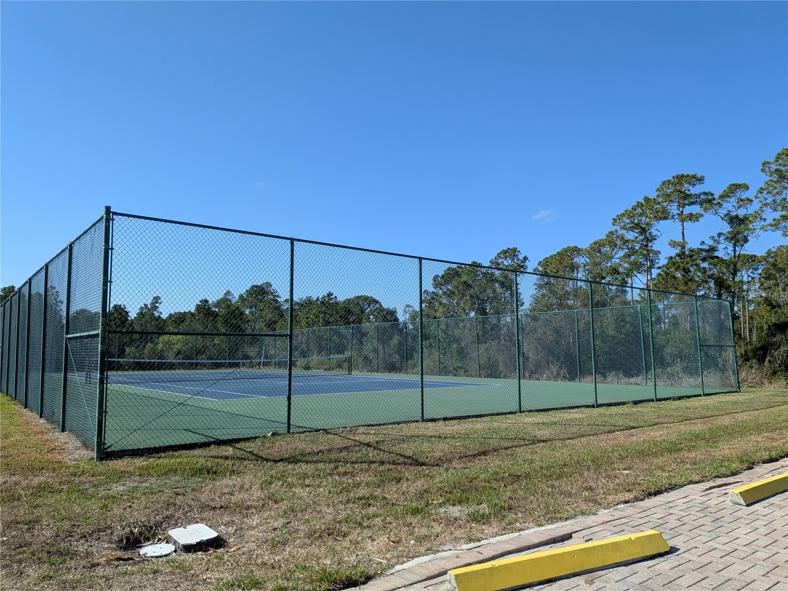 1187 Chervil Drive Poinciana FL 34759 S5145421 image7