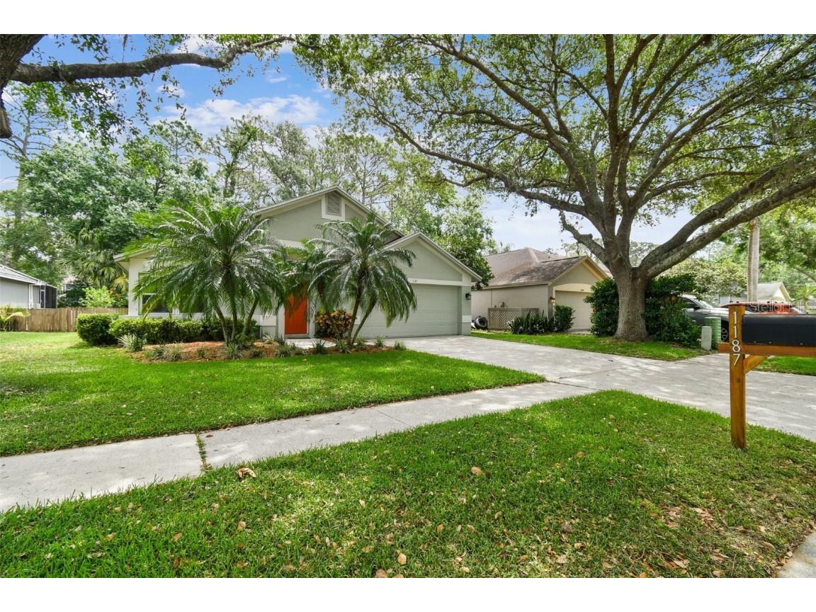 1187 Mistwood Drive Tarpon Springs FL 34688 TB8365950 image1