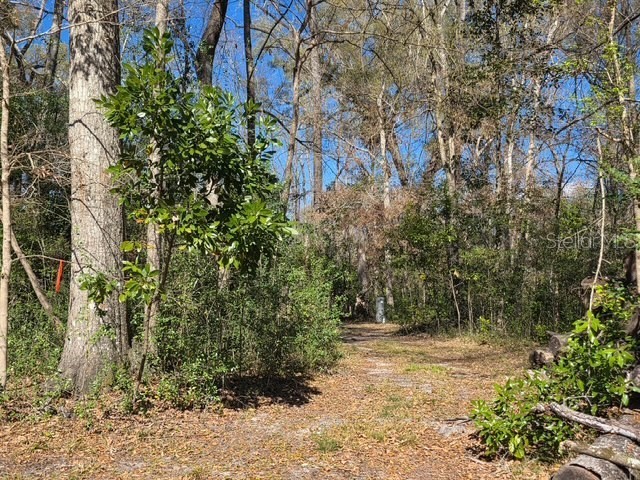 1187 SW Boston Terrace Fort White FL 32038 GC538057 image11