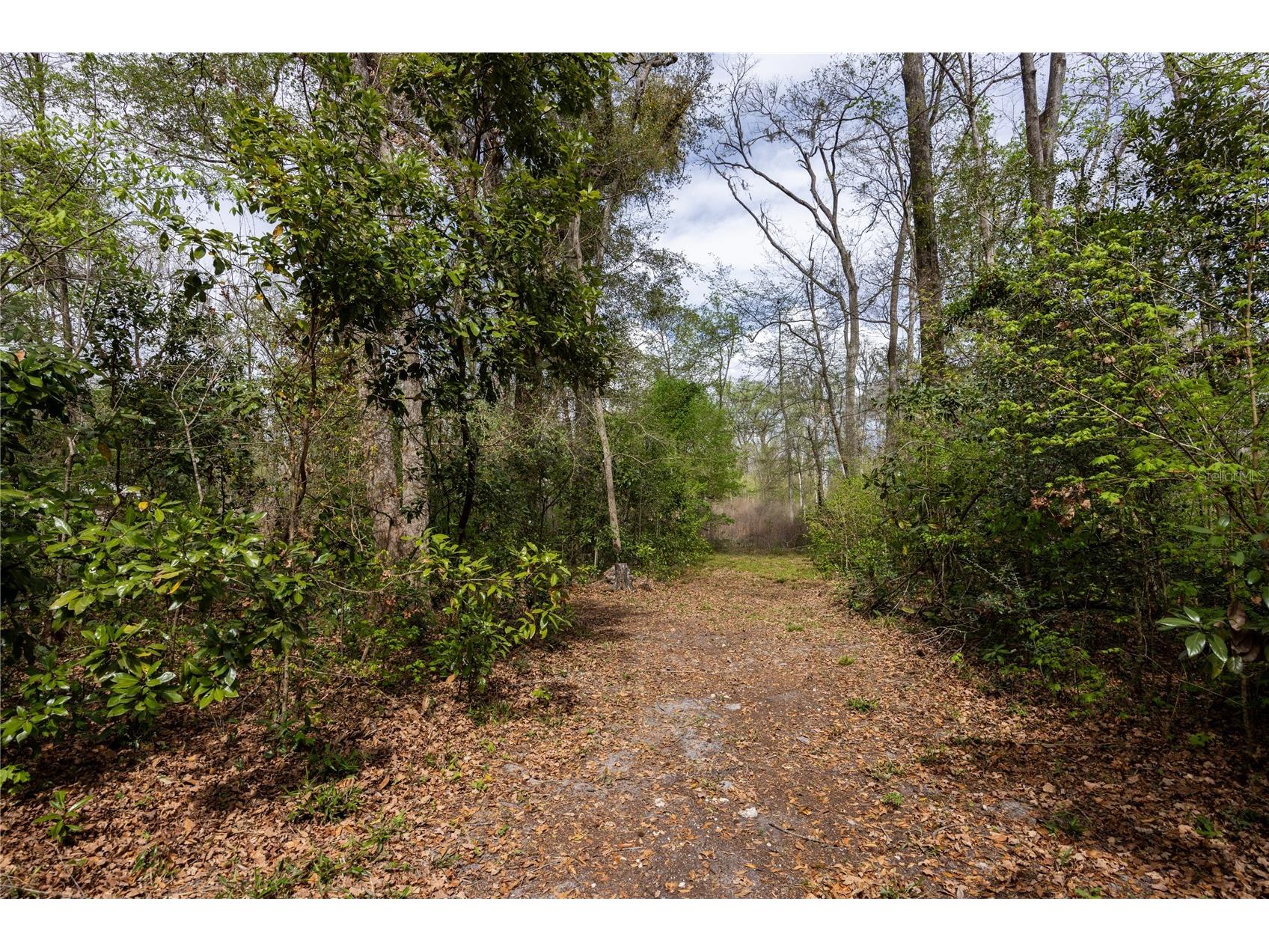 1187 SW Boston Terrace Fort White FL 32038 GC538057 image20