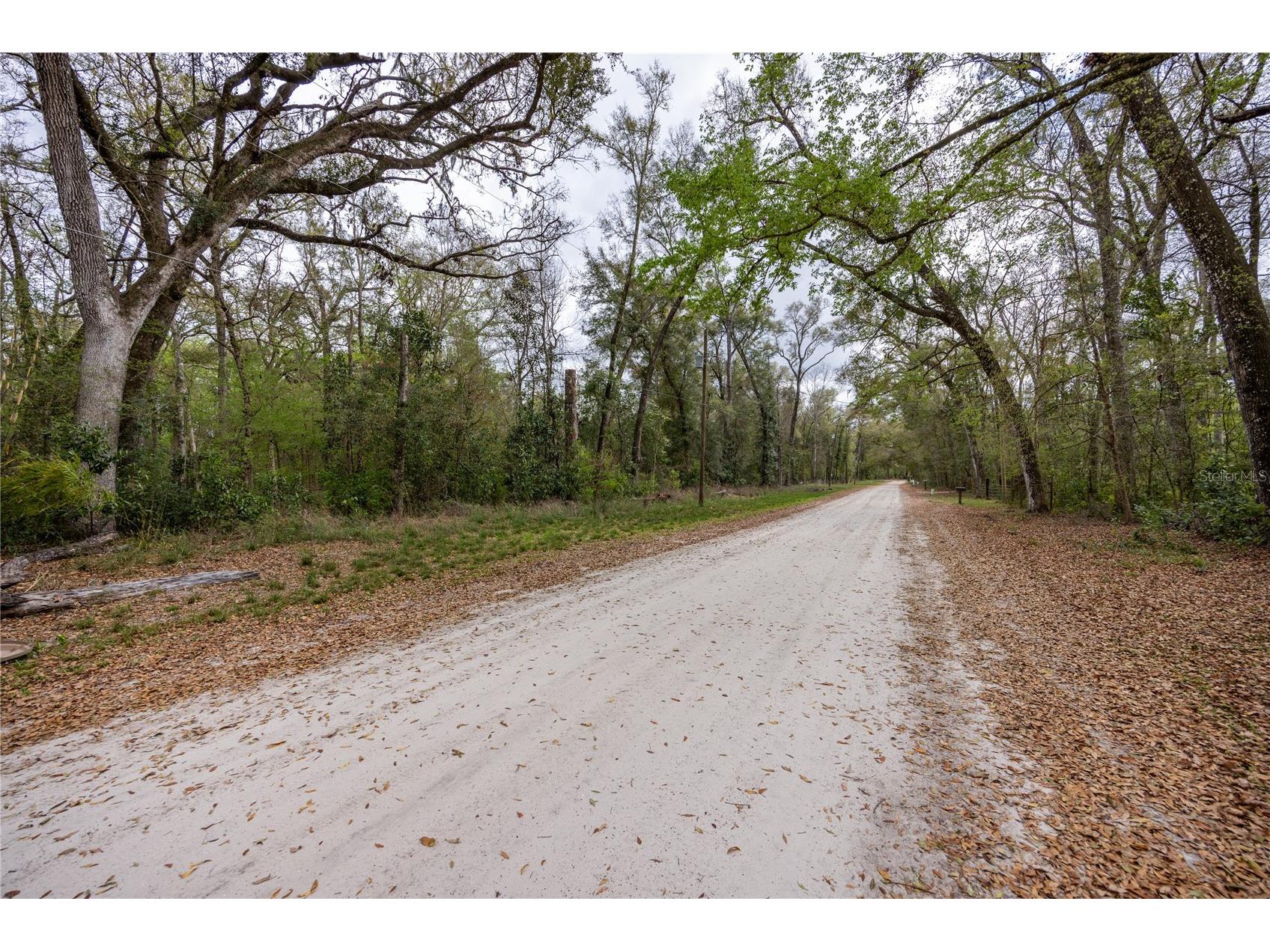 1187 SW Boston Terrace Fort White FL 32038 GC538057 image26