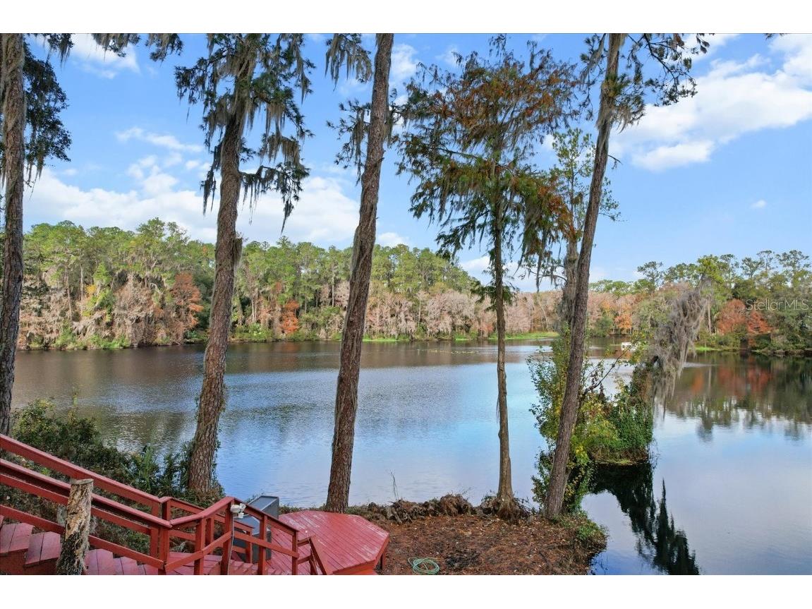 11870 N Bluff Cove Path Dunnellon FL 34434 OM691099 image1