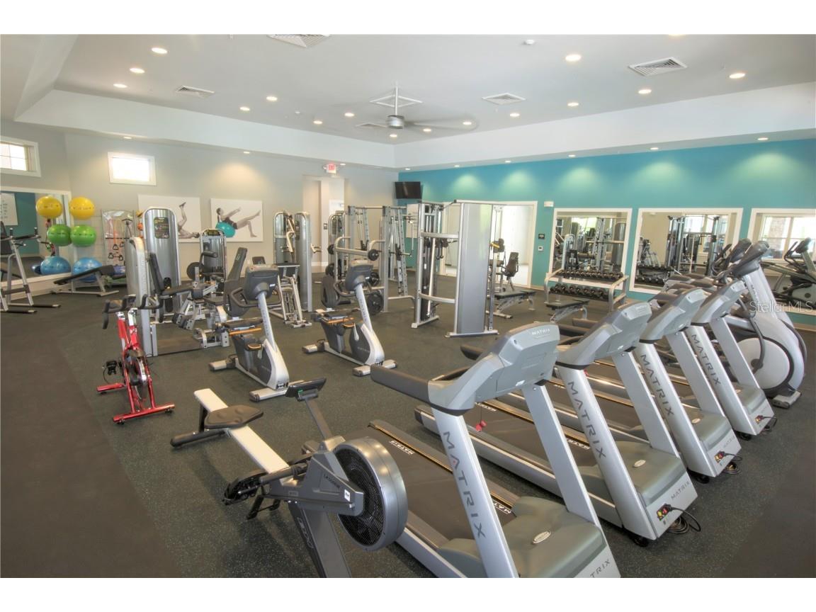 11870 Shine View Lane Winter Garden FL 34787 O6354948 image4