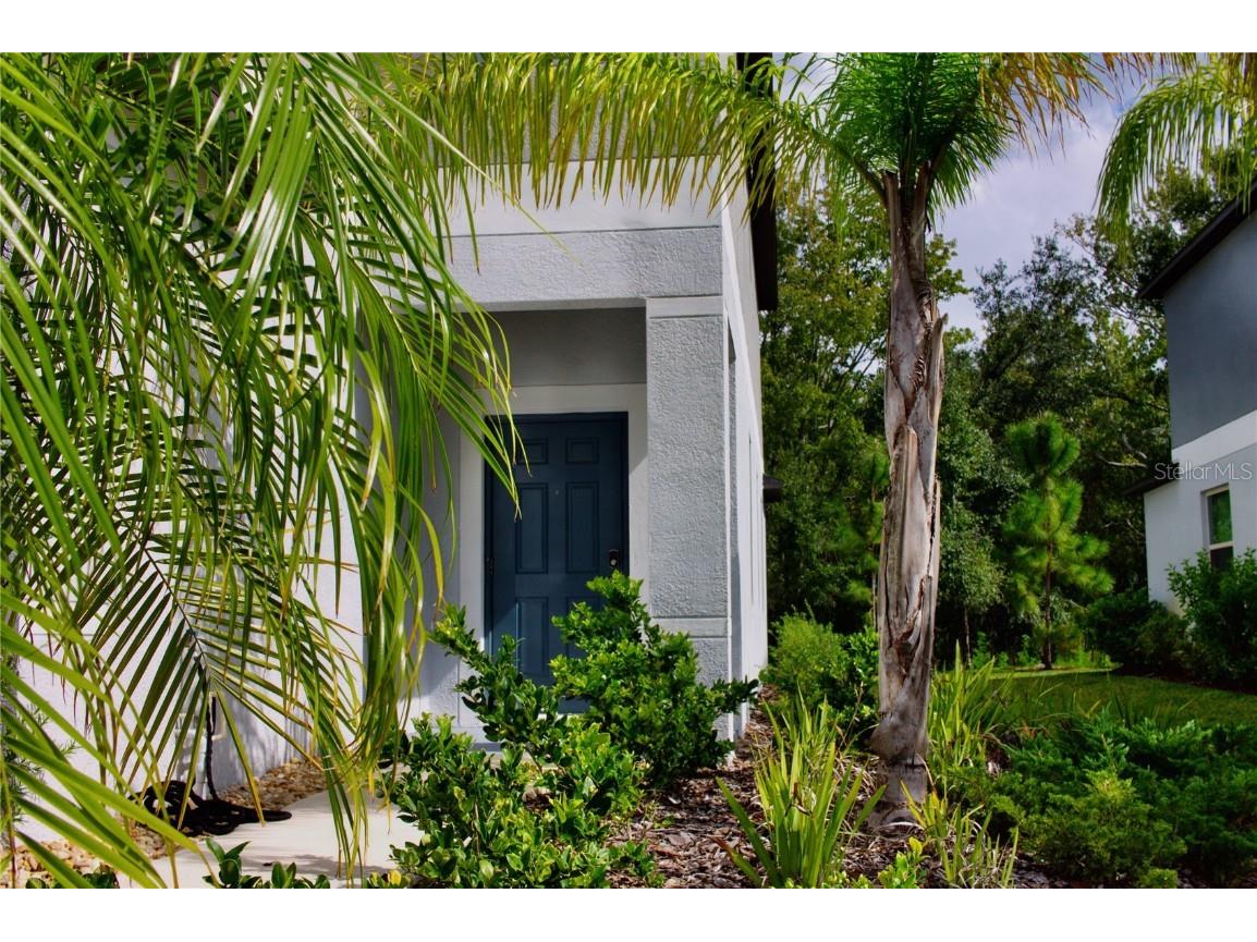 11871 Dumaine Valley Road Riverview FL 33579 T3475666 image1