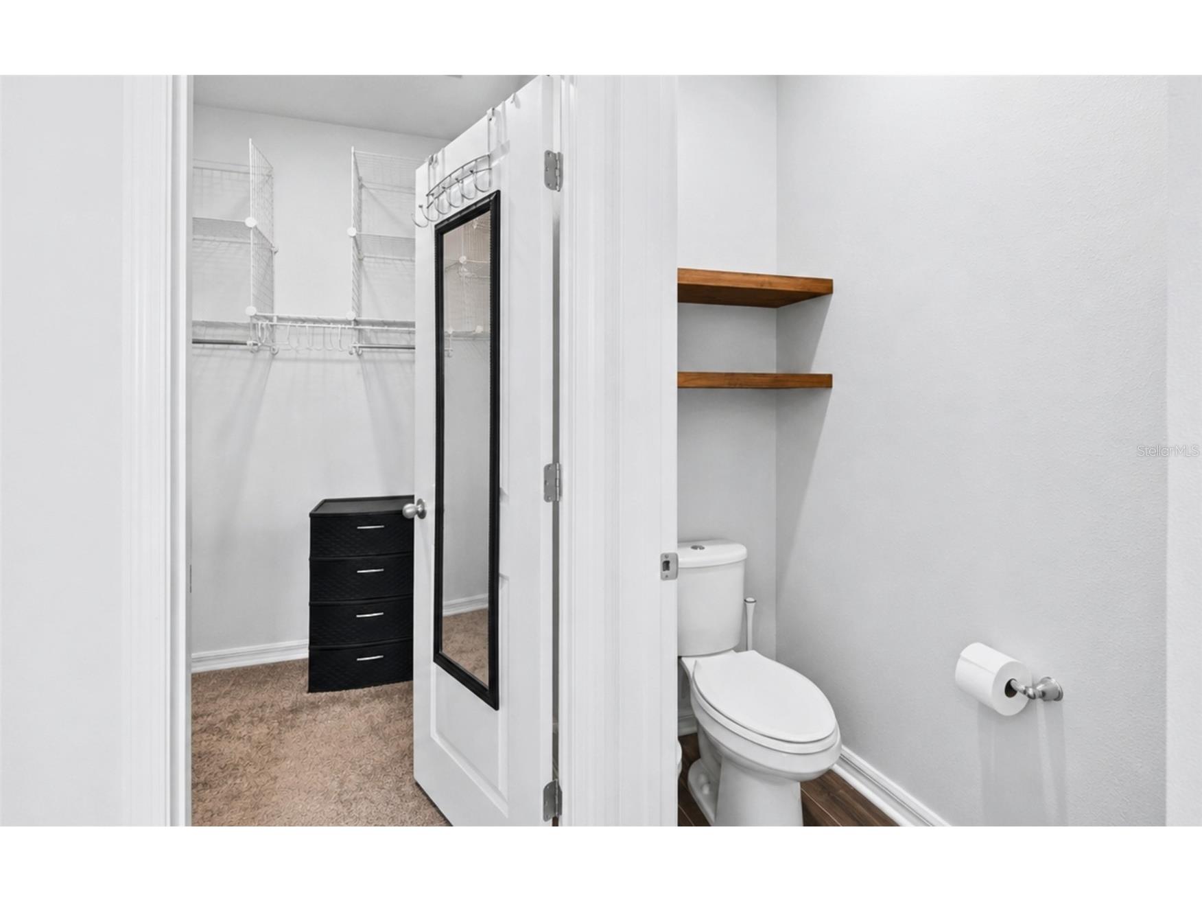 11873 Brighton Knoll Loop Riverview FL 33579 O6416472 image15