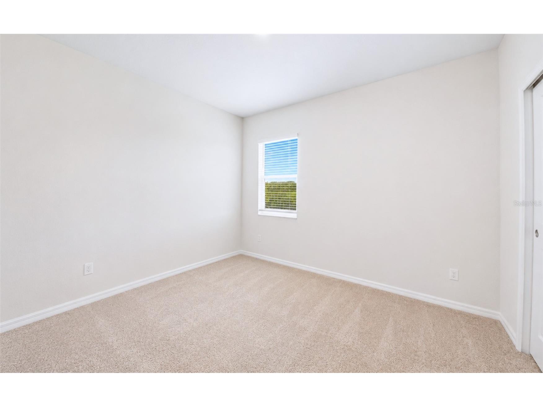 11873 Brighton Knoll Loop Riverview FL 33579 O6416472 image19