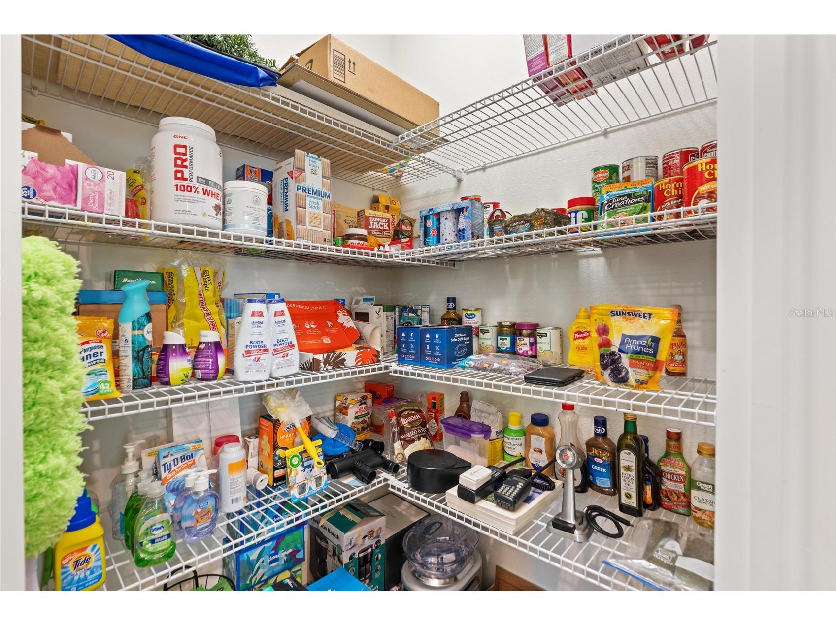 11874 Blamey Trail Odessa FL 33556 W7884576 image19