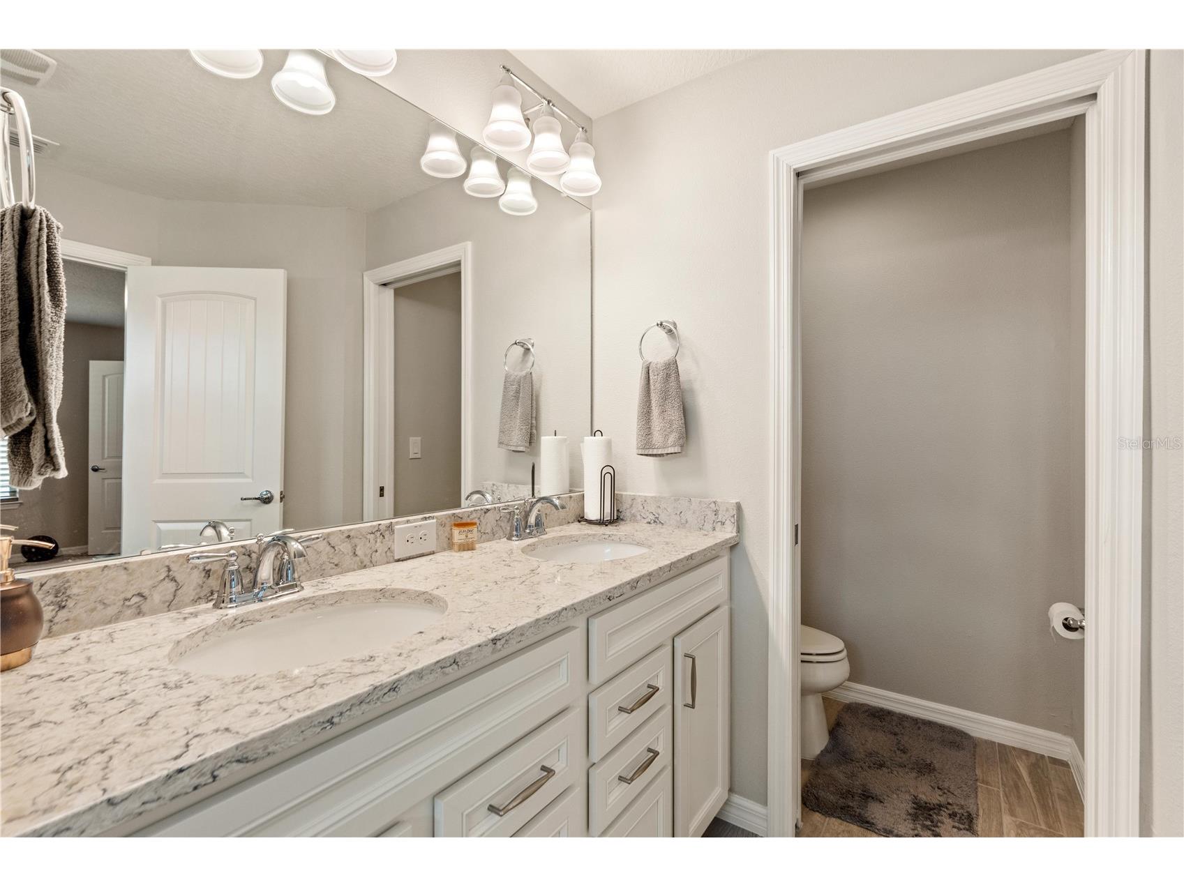 11874 Blamey Trail Odessa FL 33556 W7884576 image29