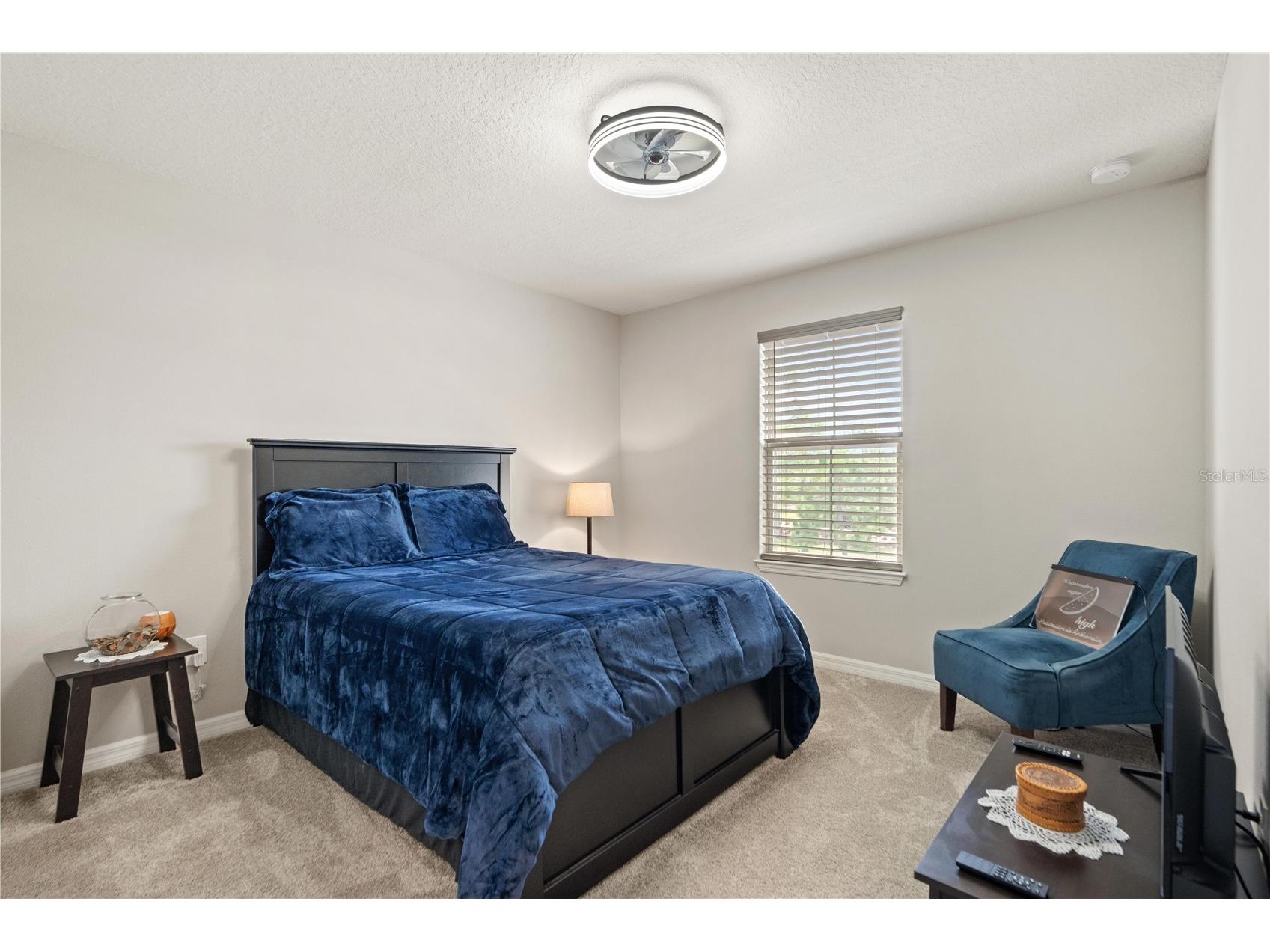 11874 Blamey Trail Odessa FL 33556 W7884576 image33