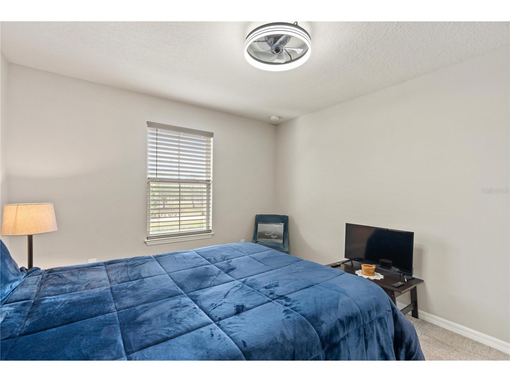 11874 Blamey Trail Odessa FL 33556 W7884576 image35